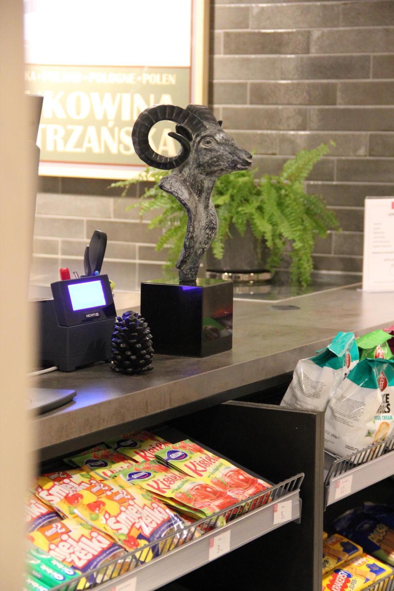 בוקוווינה טטז'אנסקה Apartamenty Aries Residence Bukowina מראה חיצוני תמונה